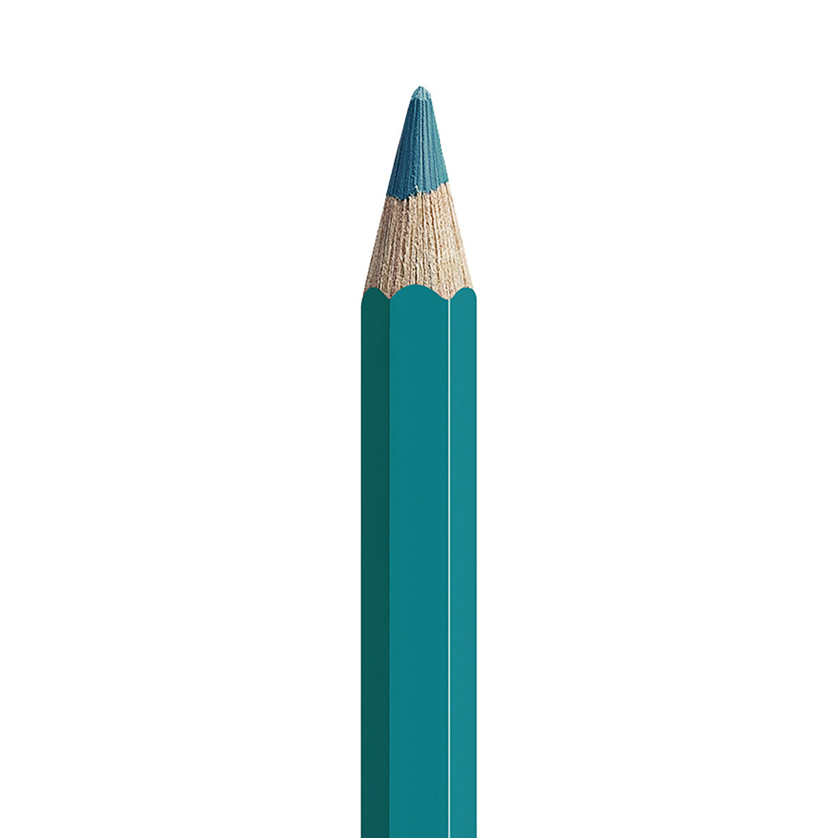 Caran d'Ache Pablo Coloured Pencils 120 Set