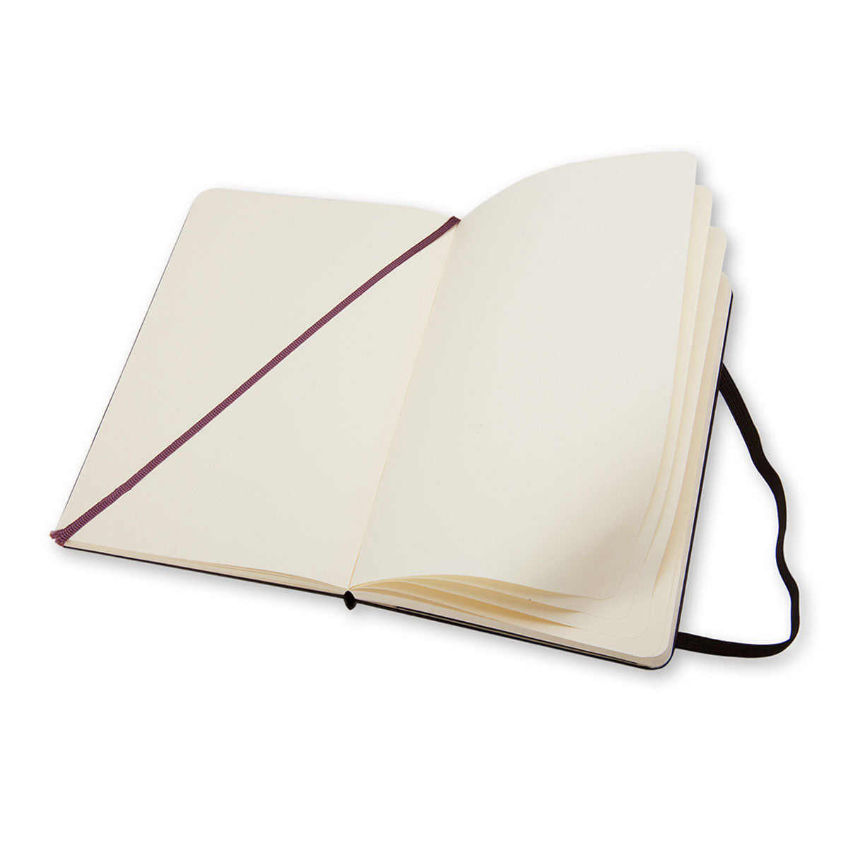 Moleskine Classic Large Notebook Hard Cover Plain