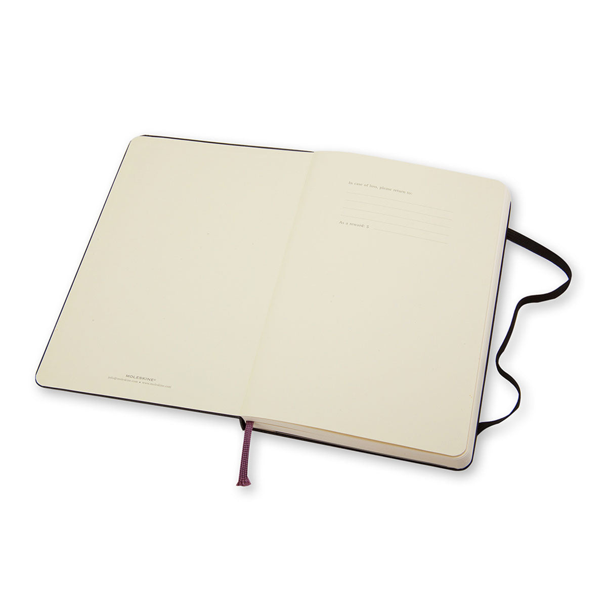 Moleskine Classic Large Notebook Hard Cover Plain
