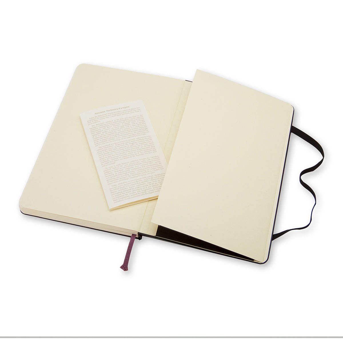Moleskine Classic Large Notebook Hard Cover Plain