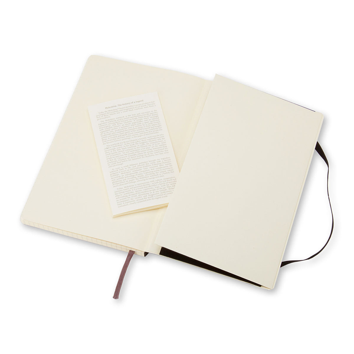 Moleskine Classic Large Notebook Soft Cover Squared
