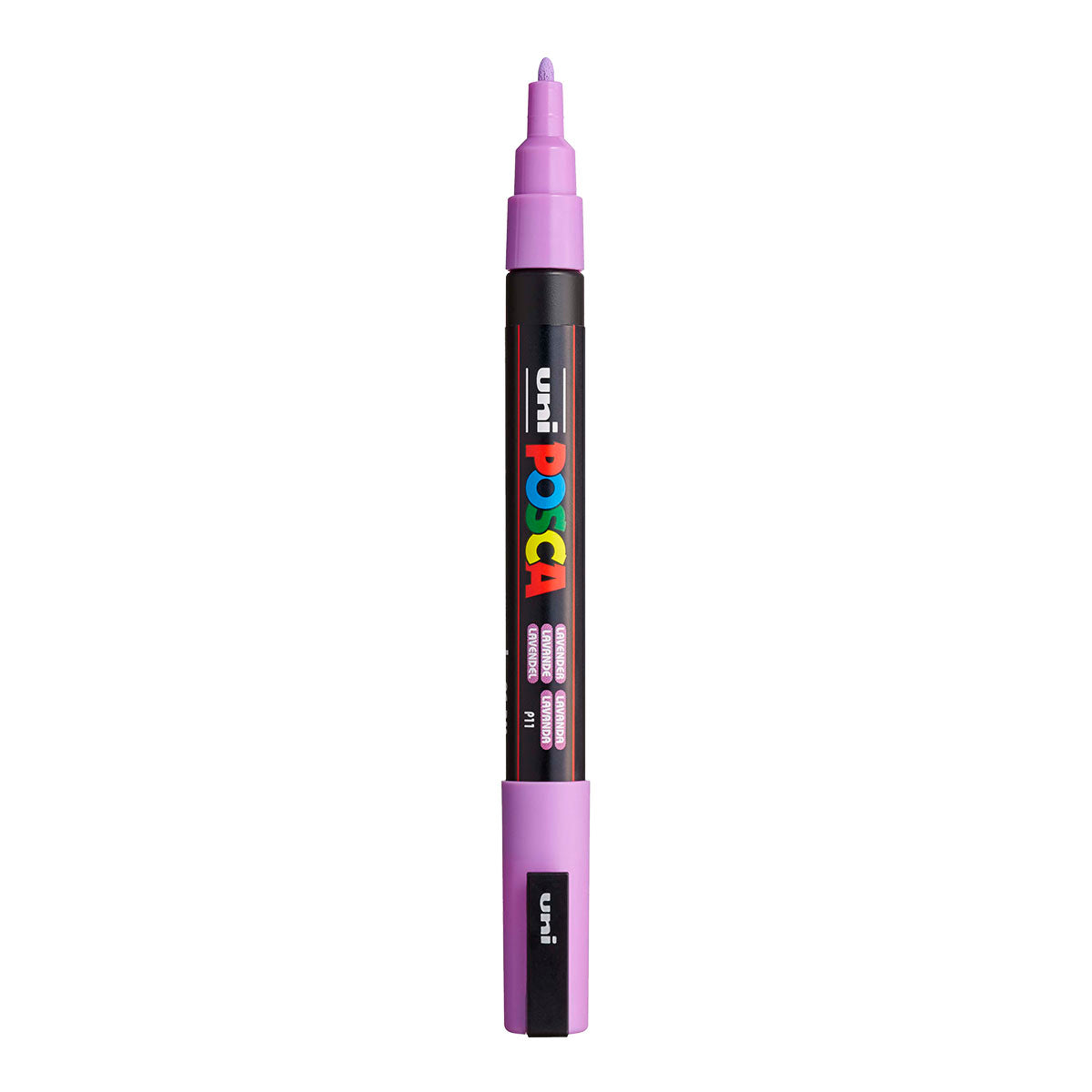 P11 Lavender / P. Purple
